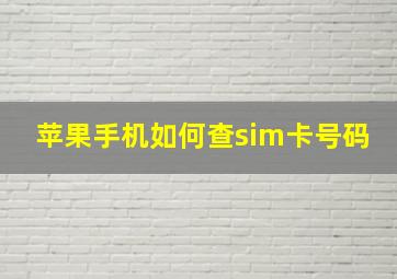 苹果手机如何查sim卡号码