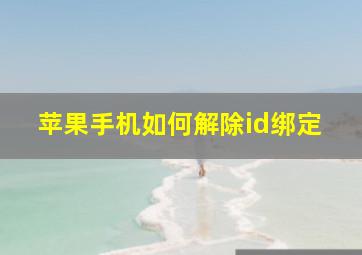 苹果手机如何解除id绑定