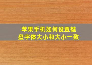 苹果手机如何设置键盘字体大小和大小一致