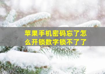 苹果手机密码忘了怎么开锁数字锁不了了