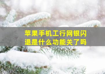 苹果手机工行网银闪退是什么功能关了吗