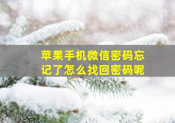 苹果手机微信密码忘记了怎么找回密码呢