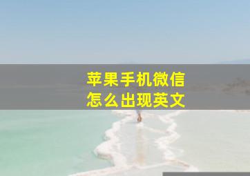 苹果手机微信怎么出现英文