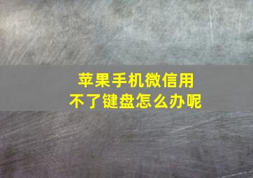 苹果手机微信用不了键盘怎么办呢