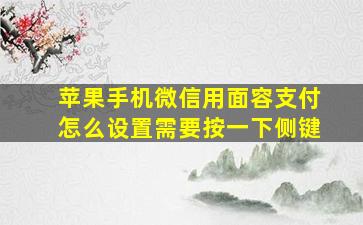 苹果手机微信用面容支付怎么设置需要按一下侧键