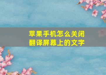 苹果手机怎么关闭翻译屏幕上的文字