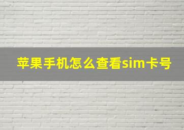 苹果手机怎么查看sim卡号