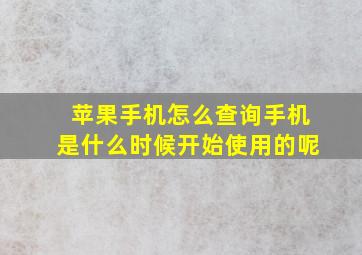 苹果手机怎么查询手机是什么时候开始使用的呢