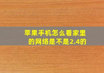 苹果手机怎么看家里的网络是不是2.4的