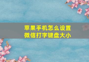 苹果手机怎么设置微信打字键盘大小