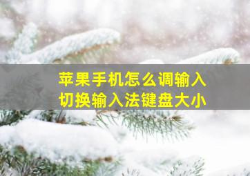 苹果手机怎么调输入切换输入法键盘大小