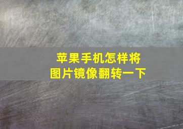 苹果手机怎样将图片镜像翻转一下