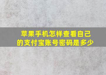 苹果手机怎样查看自己的支付宝账号密码是多少