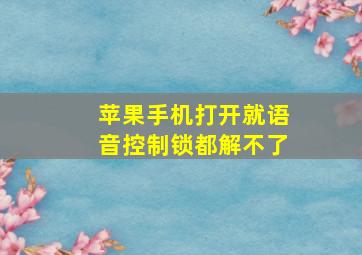 苹果手机打开就语音控制锁都解不了