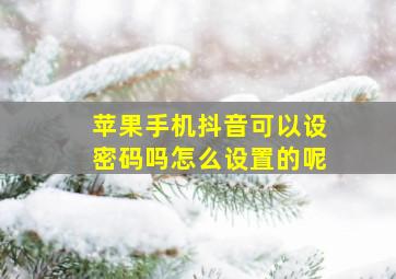 苹果手机抖音可以设密码吗怎么设置的呢