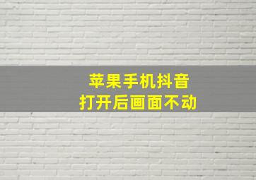 苹果手机抖音打开后画面不动