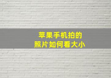 苹果手机拍的照片如何看大小