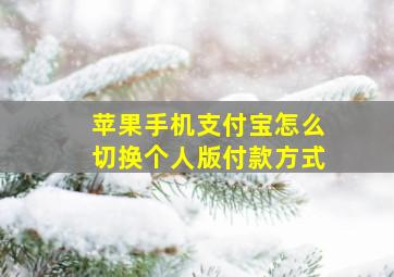 苹果手机支付宝怎么切换个人版付款方式