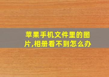 苹果手机文件里的图片,相册看不到怎么办