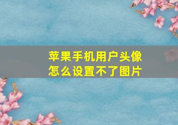 苹果手机用户头像怎么设置不了图片