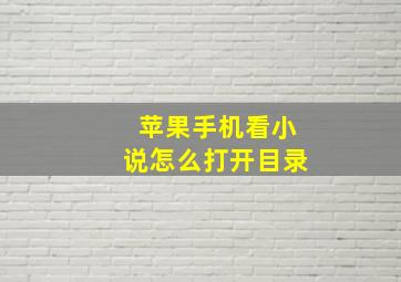 苹果手机看小说怎么打开目录