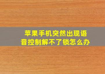 苹果手机突然出现语音控制解不了锁怎么办