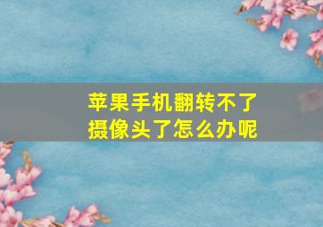 苹果手机翻转不了摄像头了怎么办呢