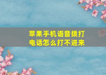 苹果手机语音拨打电话怎么打不进来