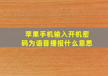 苹果手机输入开机密码为语音播报什么意思