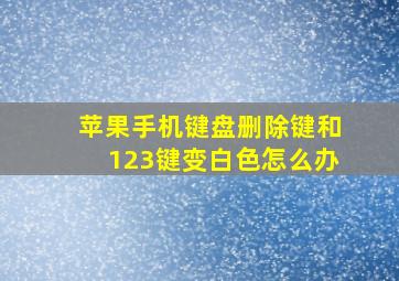 苹果手机键盘删除键和123键变白色怎么办