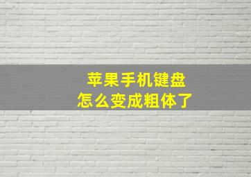 苹果手机键盘怎么变成粗体了