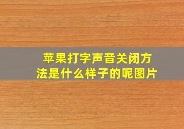 苹果打字声音关闭方法是什么样子的呢图片