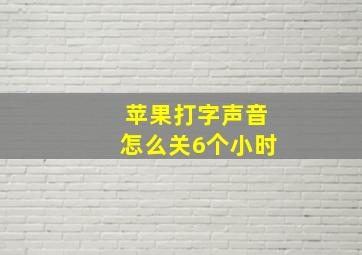 苹果打字声音怎么关6个小时