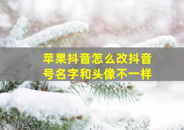 苹果抖音怎么改抖音号名字和头像不一样