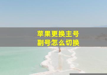 苹果更换主号副号怎么切换