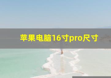 苹果电脑16寸pro尺寸