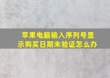 苹果电脑输入序列号显示购买日期未验证怎么办