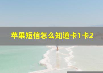 苹果短信怎么知道卡1卡2