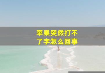 苹果突然打不了字怎么回事