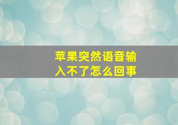 苹果突然语音输入不了怎么回事