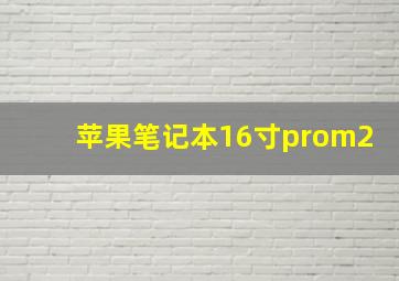 苹果笔记本16寸prom2