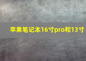 苹果笔记本16寸pro和13寸