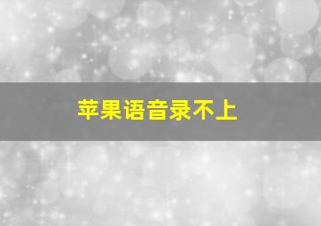 苹果语音录不上