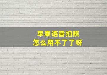 苹果语音拍照怎么用不了了呀