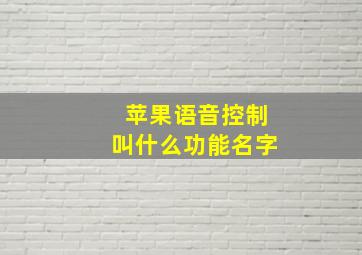 苹果语音控制叫什么功能名字