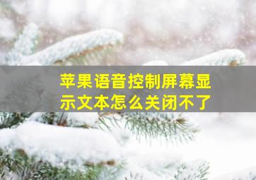 苹果语音控制屏幕显示文本怎么关闭不了