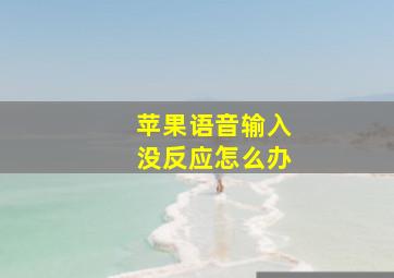 苹果语音输入没反应怎么办