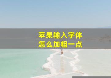 苹果输入字体怎么加粗一点