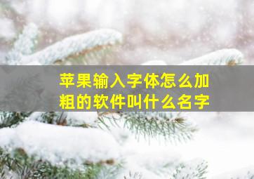 苹果输入字体怎么加粗的软件叫什么名字