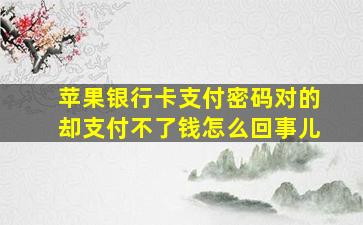 苹果银行卡支付密码对的却支付不了钱怎么回事儿